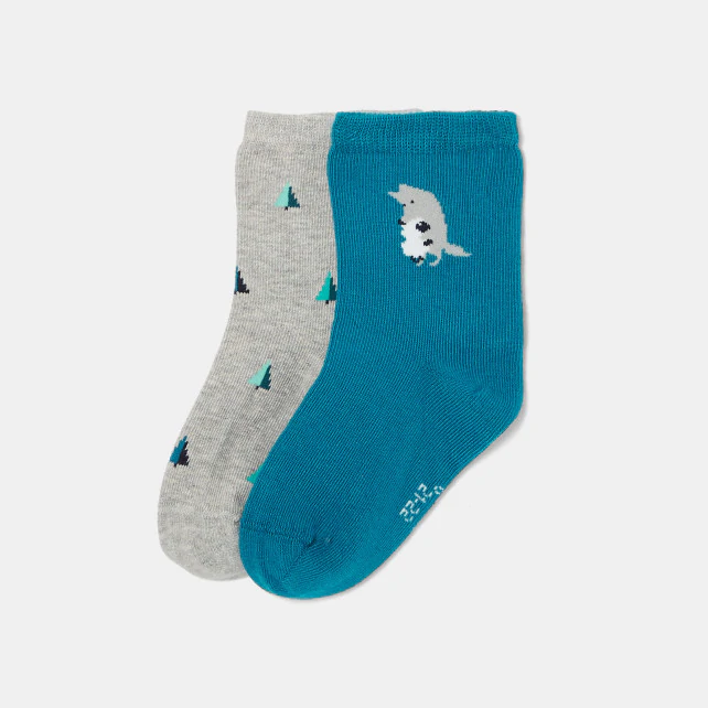 Toddler boy sock duo