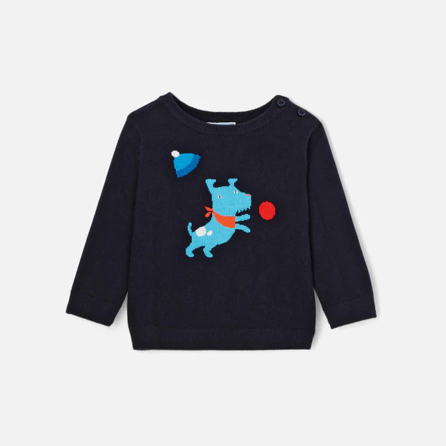 Toddler boy Intarsia dog jumper