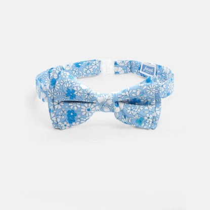 Liberty print bow tie