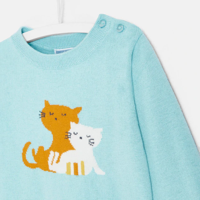 Toddler girl little cats jumper