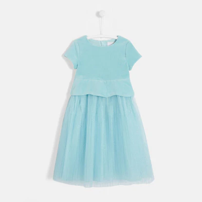 Girl velvet and tulle dress