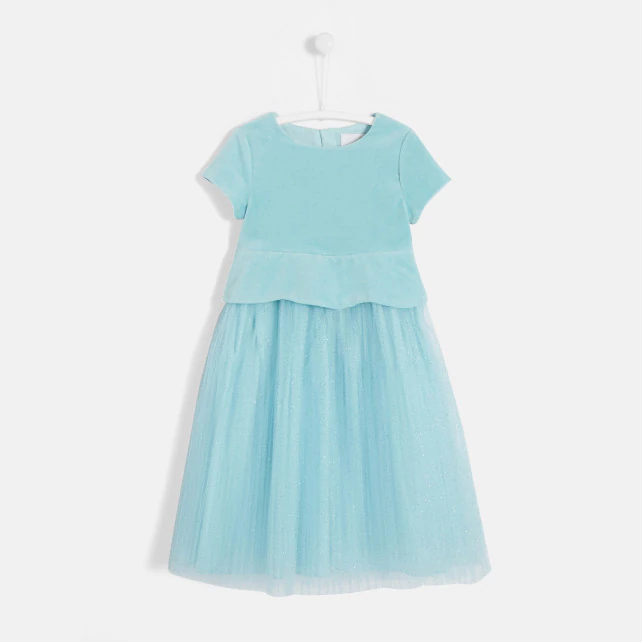 Girl velvet and tulle dress