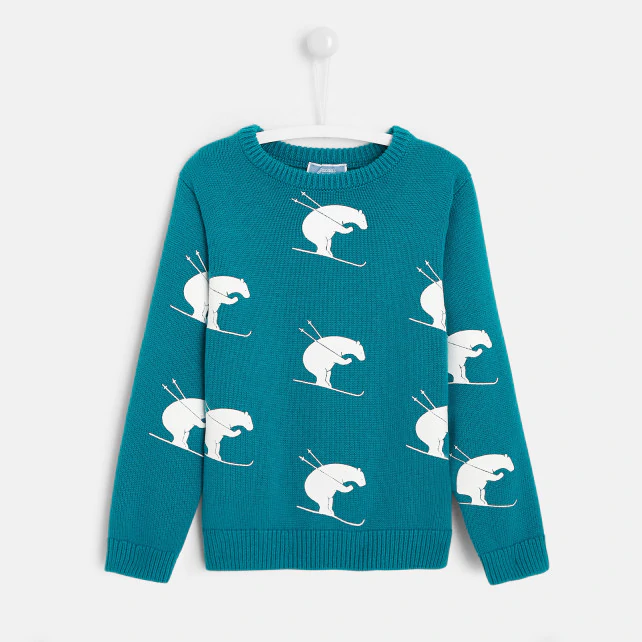 Boy bear print jumper