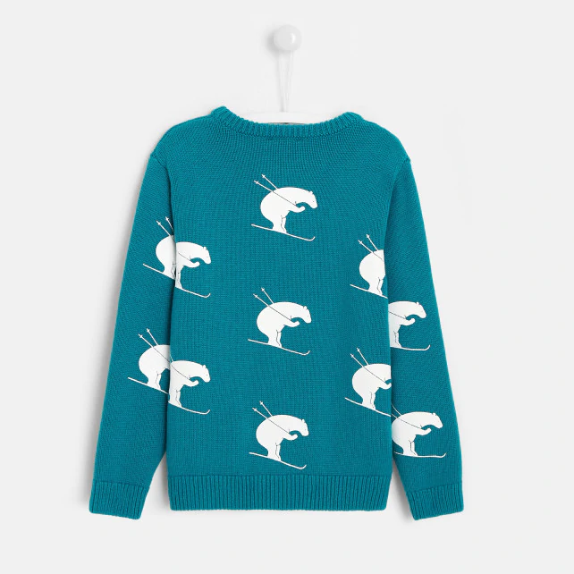 Boy bear print jumper