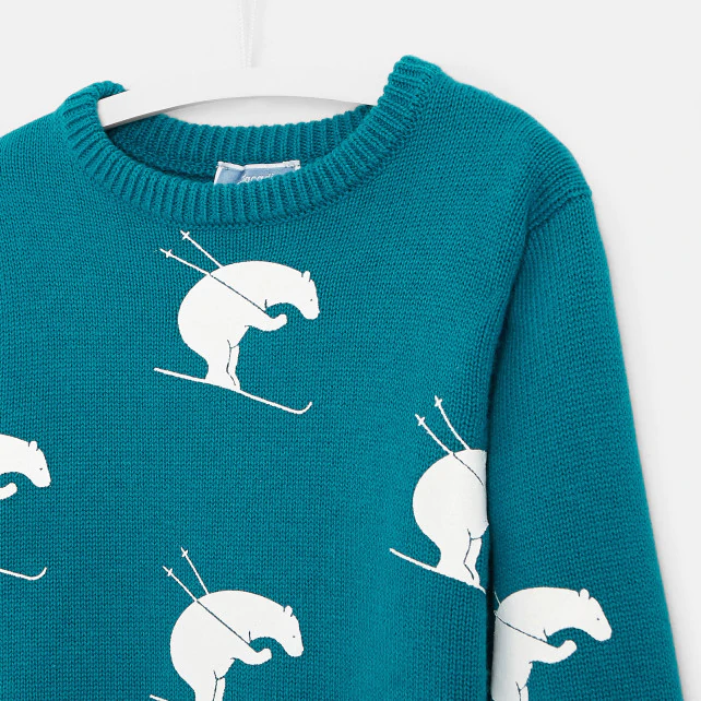 Boy bear print jumper