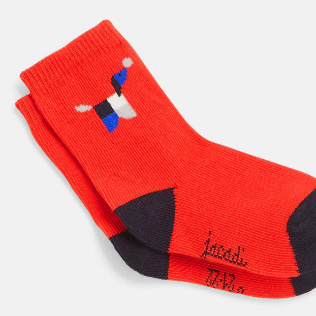 Toddler boy socks with Intarsia dog