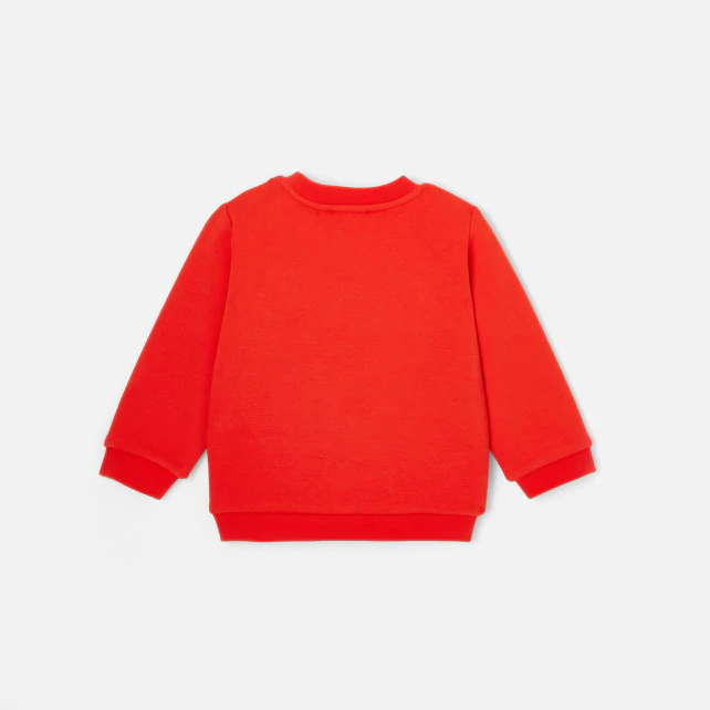 Toddler boy sweatshirt