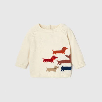 Baby boy Intarsia dog jumper