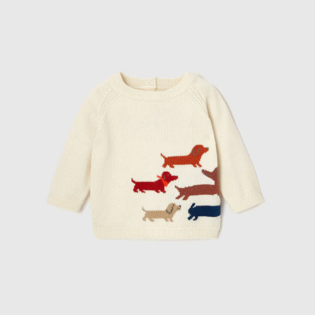 Baby boy Intarsia dog jumper