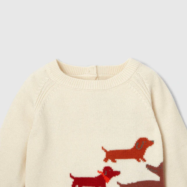 Baby boy Intarsia dog jumper