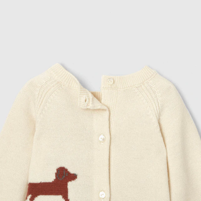 Baby boy Intarsia dog jumper