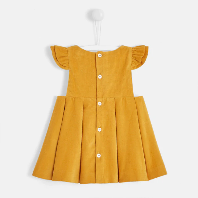 Baby girl velvet dress