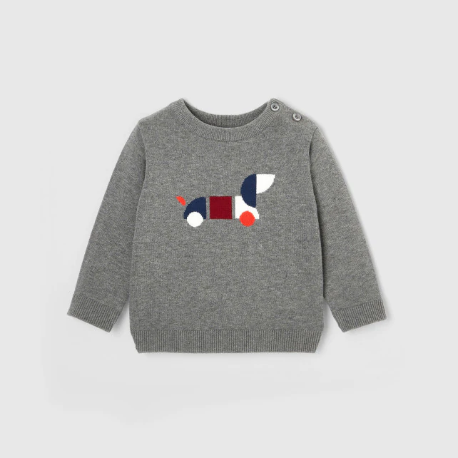 Toddler boy dog jumper