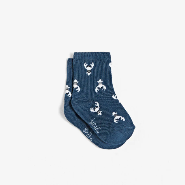 Baby boy socks with lobster motif