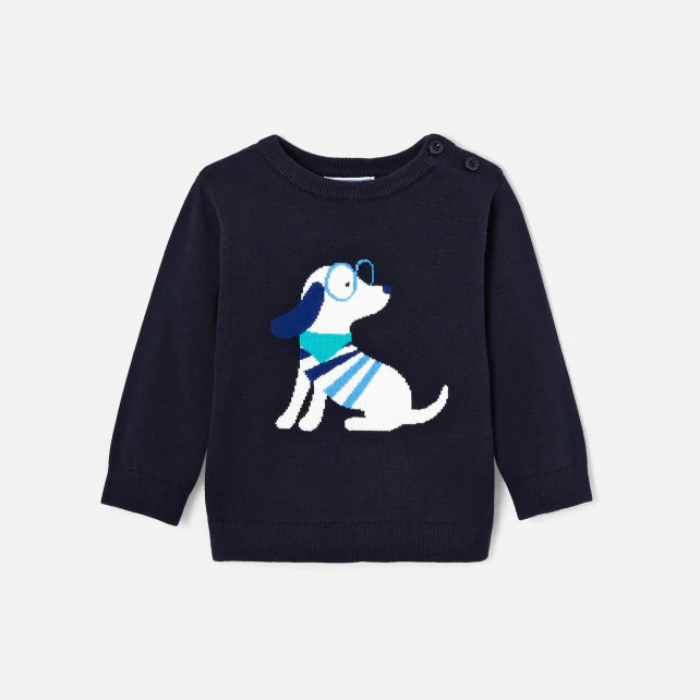 Toddler boy Intarsia motif jumper