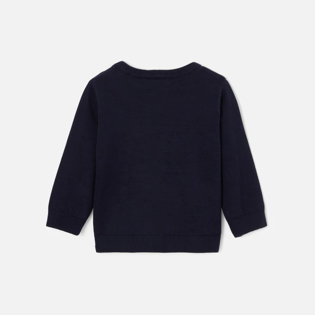 Toddler boy Intarsia motif jumper