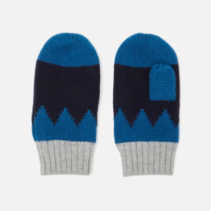 Boy lined mittens