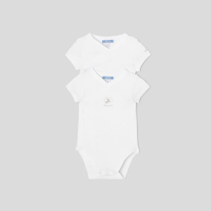 Set of 2 baby short sleeve bodysuits