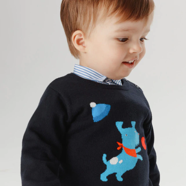 Toddler boy Intarsia dog jumper