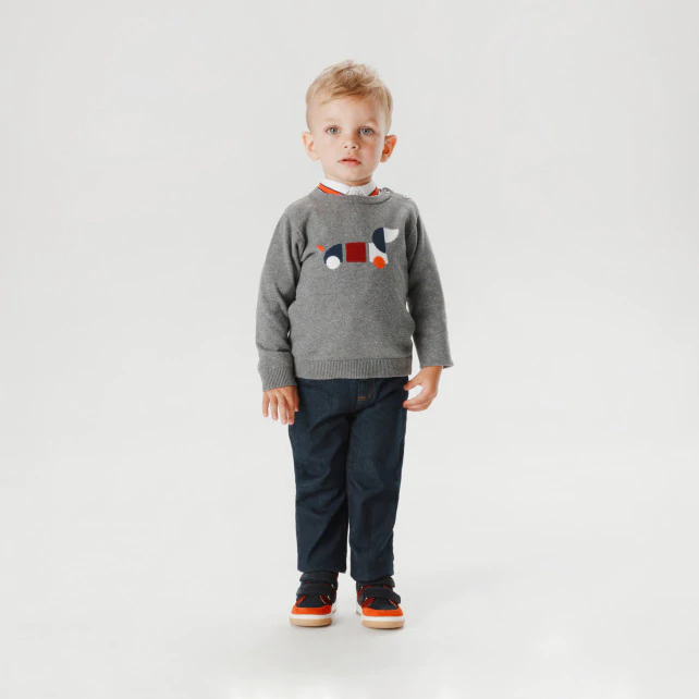 Toddler boy dog jumper