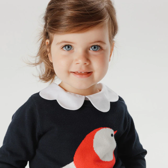 Toddler girl little bird jumper