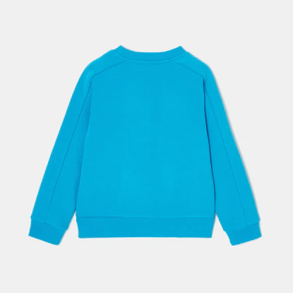 Boy fleece sweatshirt