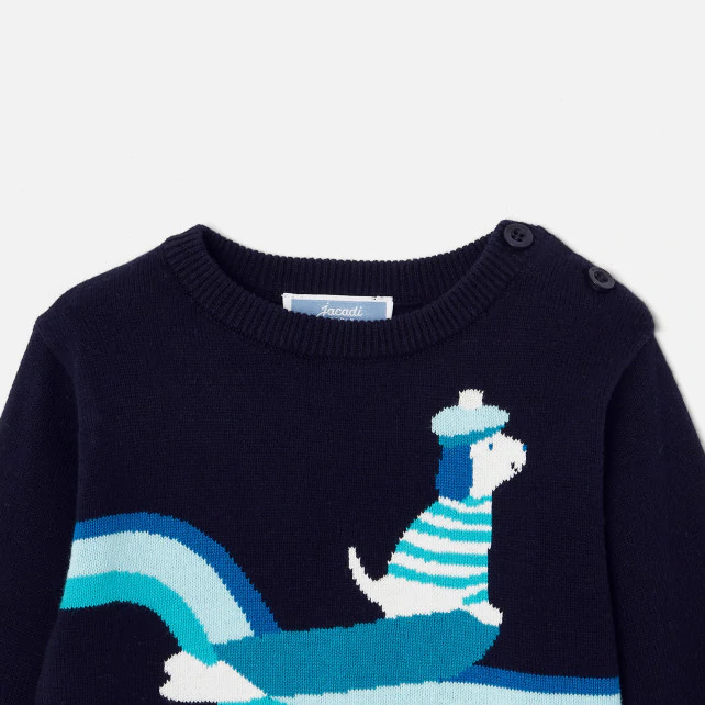 Baby boy jumper