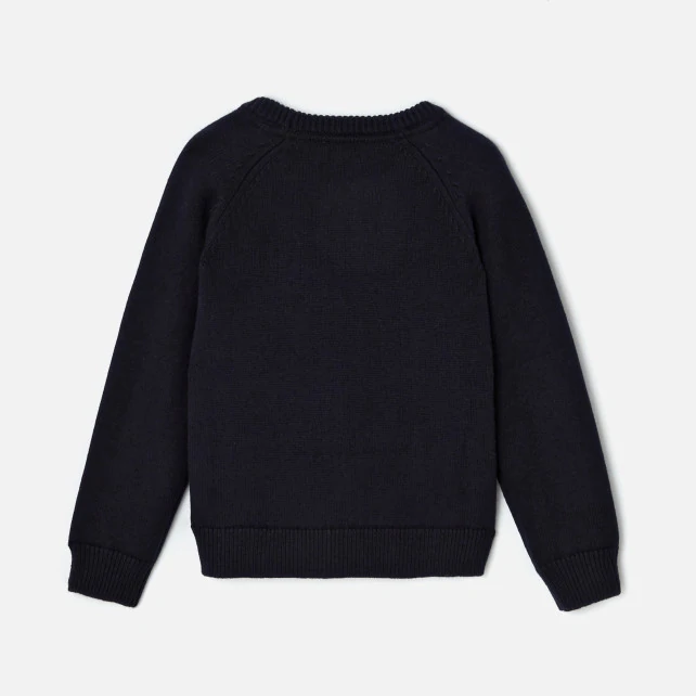 Boy wool jumper