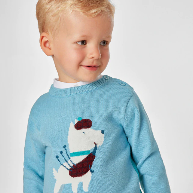 Baby boy intarsia dog jumper