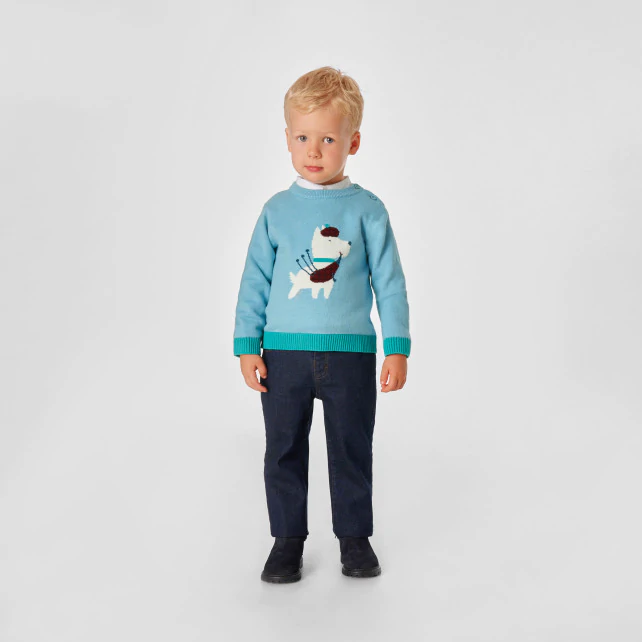 Baby boy intarsia dog jumper