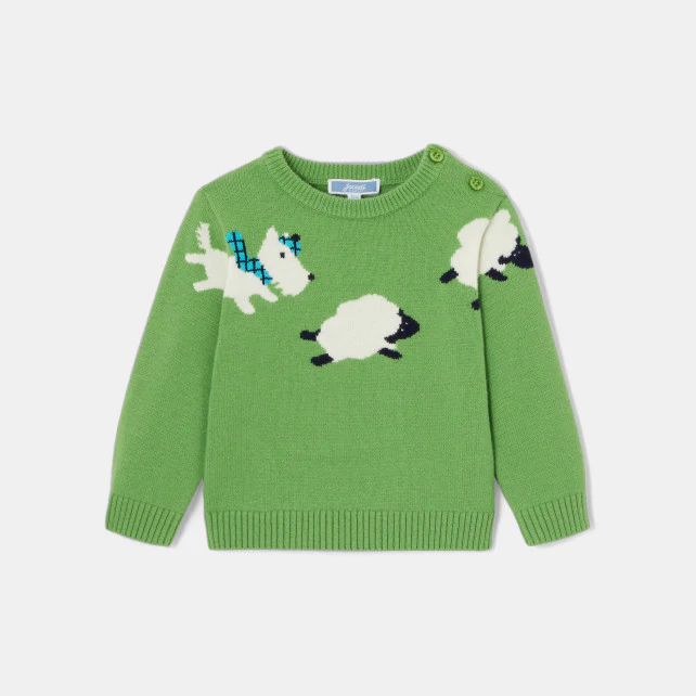 Baby boy intarsia dog jumper