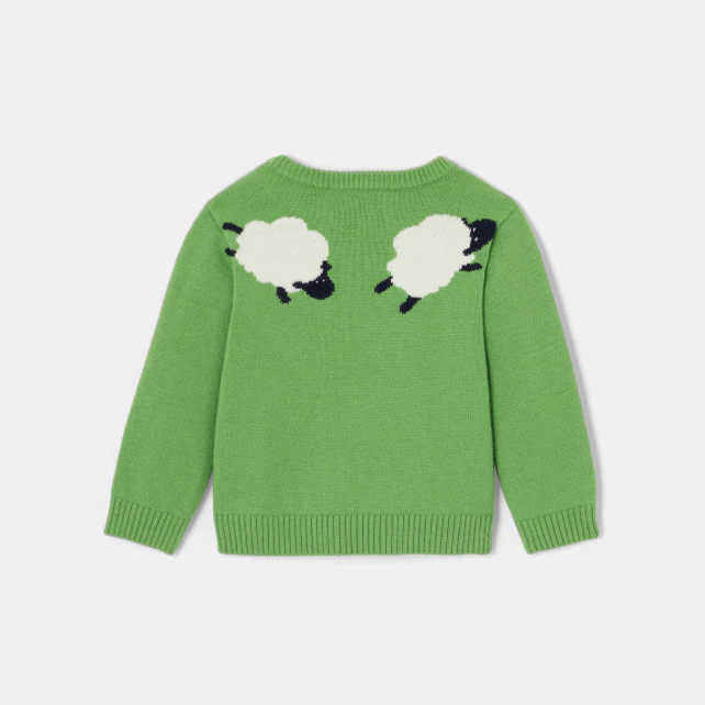 Baby boy intarsia dog jumper