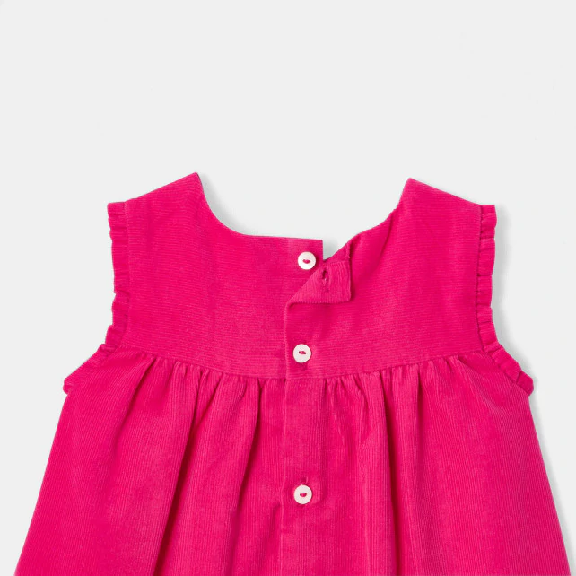 Baby girl velour dress