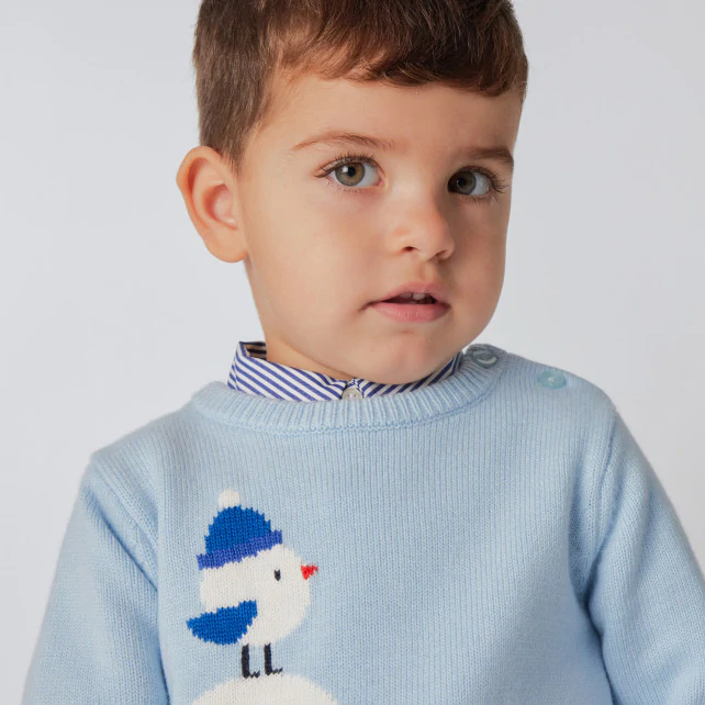 Baby boy playful intarsia jumper