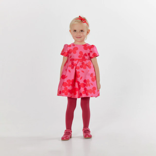 Baby girl Holiday dress