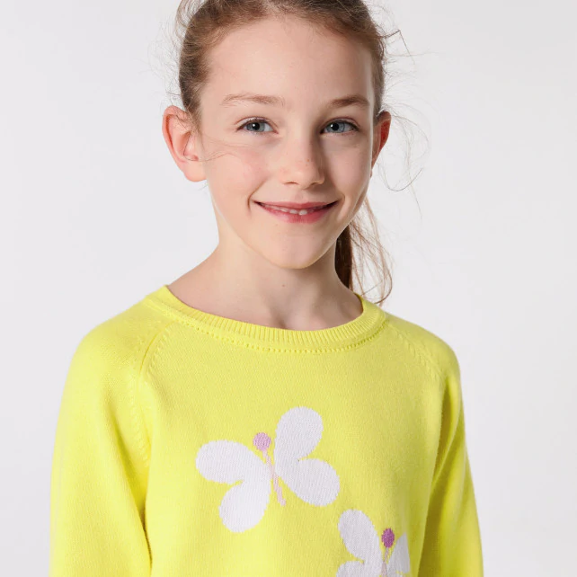 Girl intarsia butterflies jumper