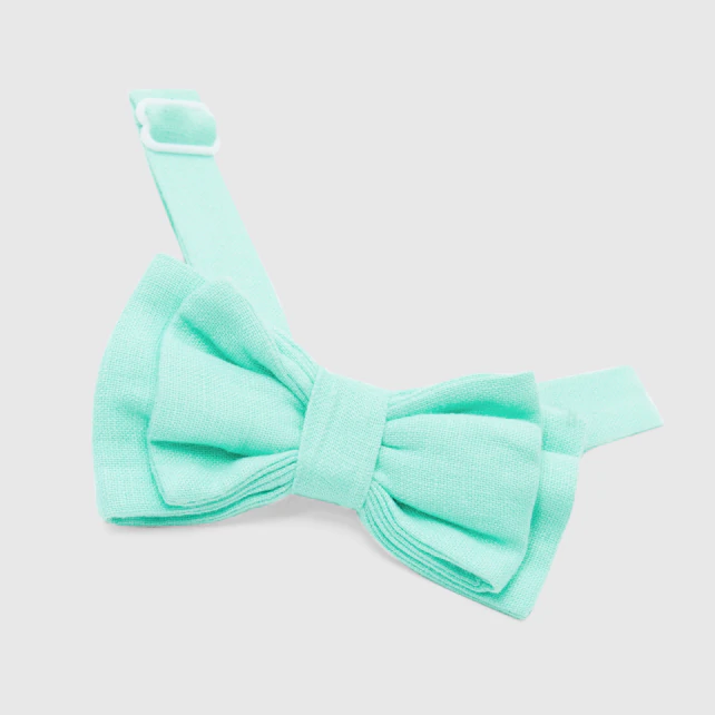 Boy bow tie