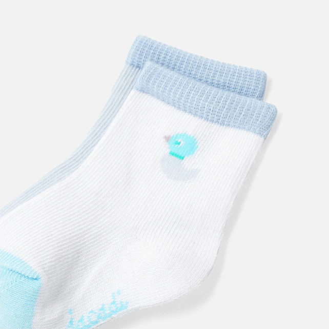 Baby boy socks duo